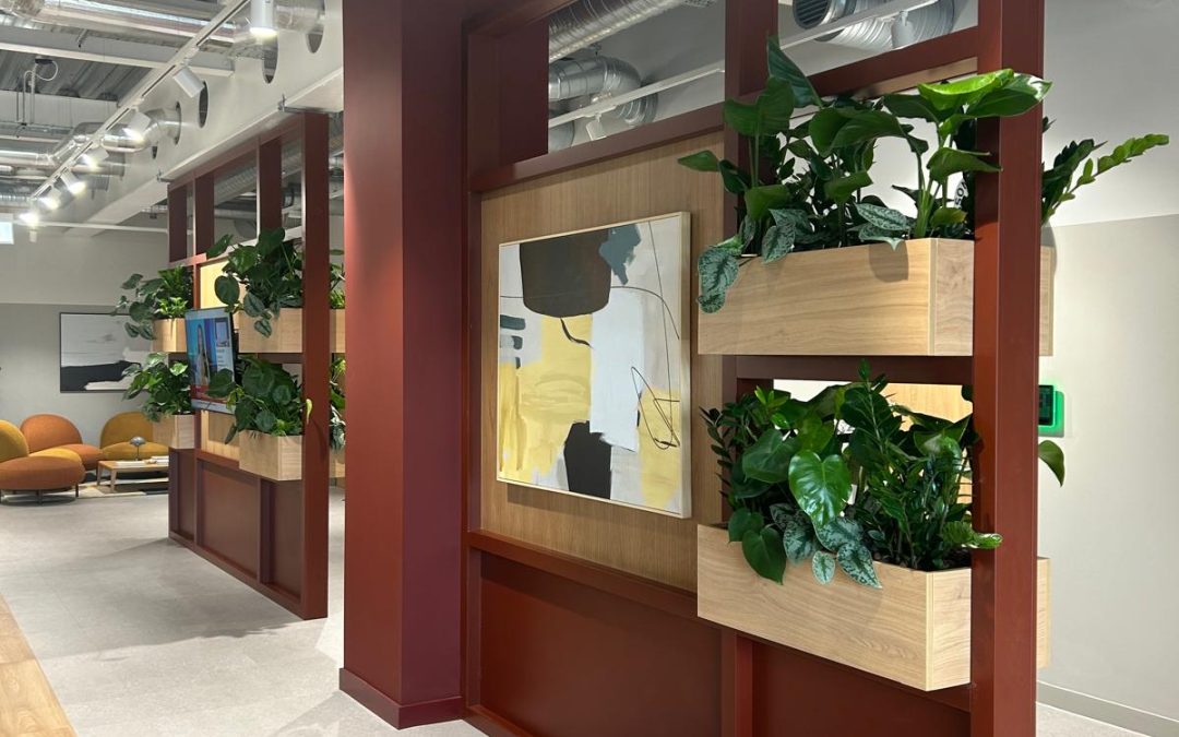 5th Floor Office Fitout