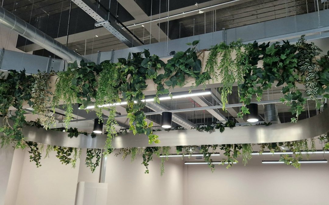 Feature Ceiling Rafts & Bespoke Office Tea-Point